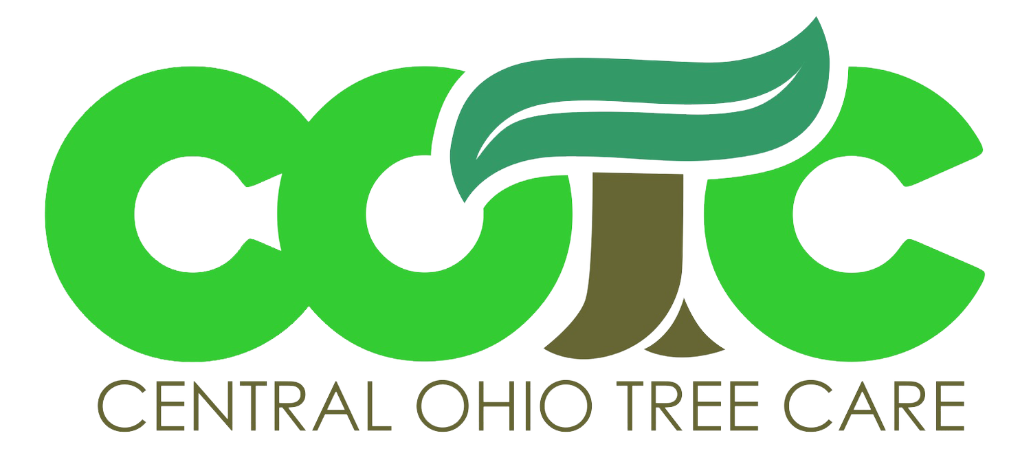 Central Ohio Tree Care