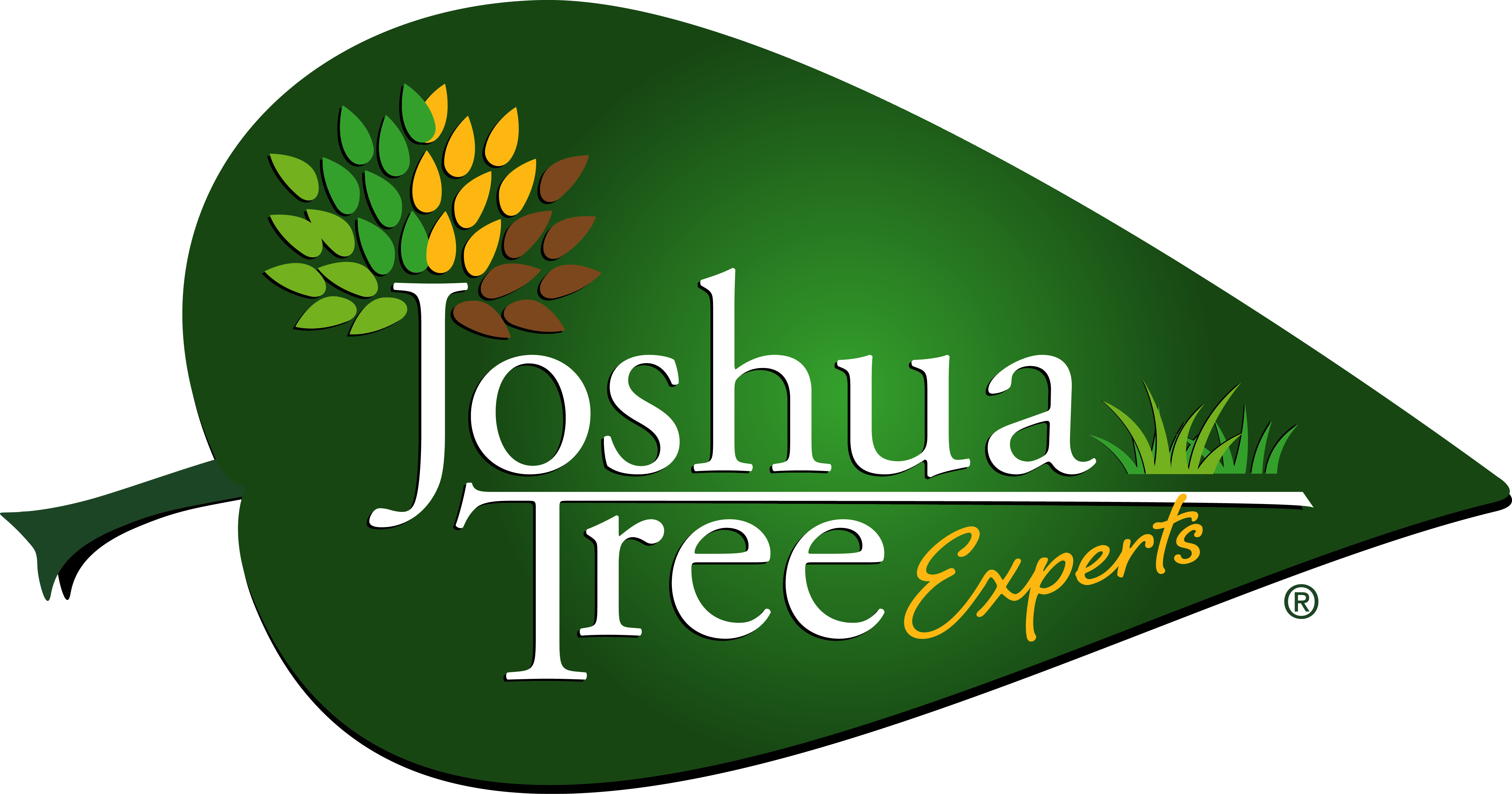 Joshua Tree Experts-LOGO_R