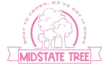 Midstate-Tree